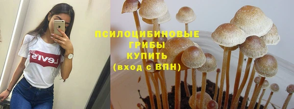 первитин Елабуга
