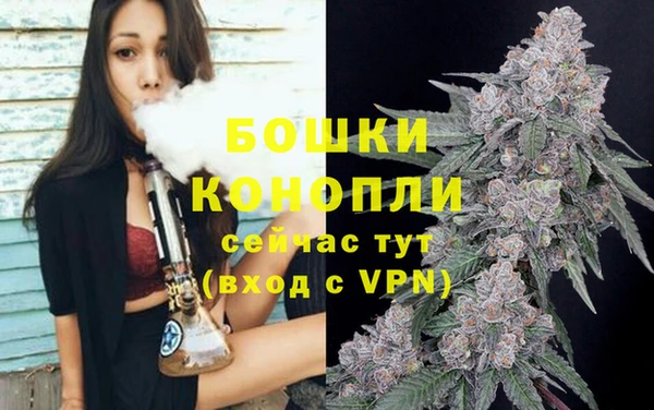 молекула духа Дмитровск