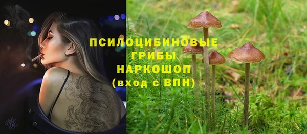 шишки Бердск