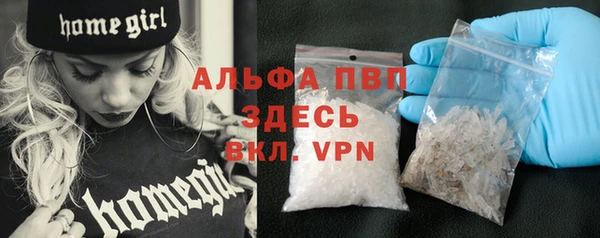 молекула духа Дмитровск