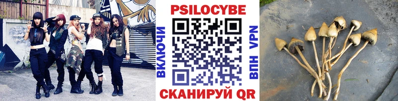 Галлюциногенные грибы Cubensis  Купить закладки  Ершов 